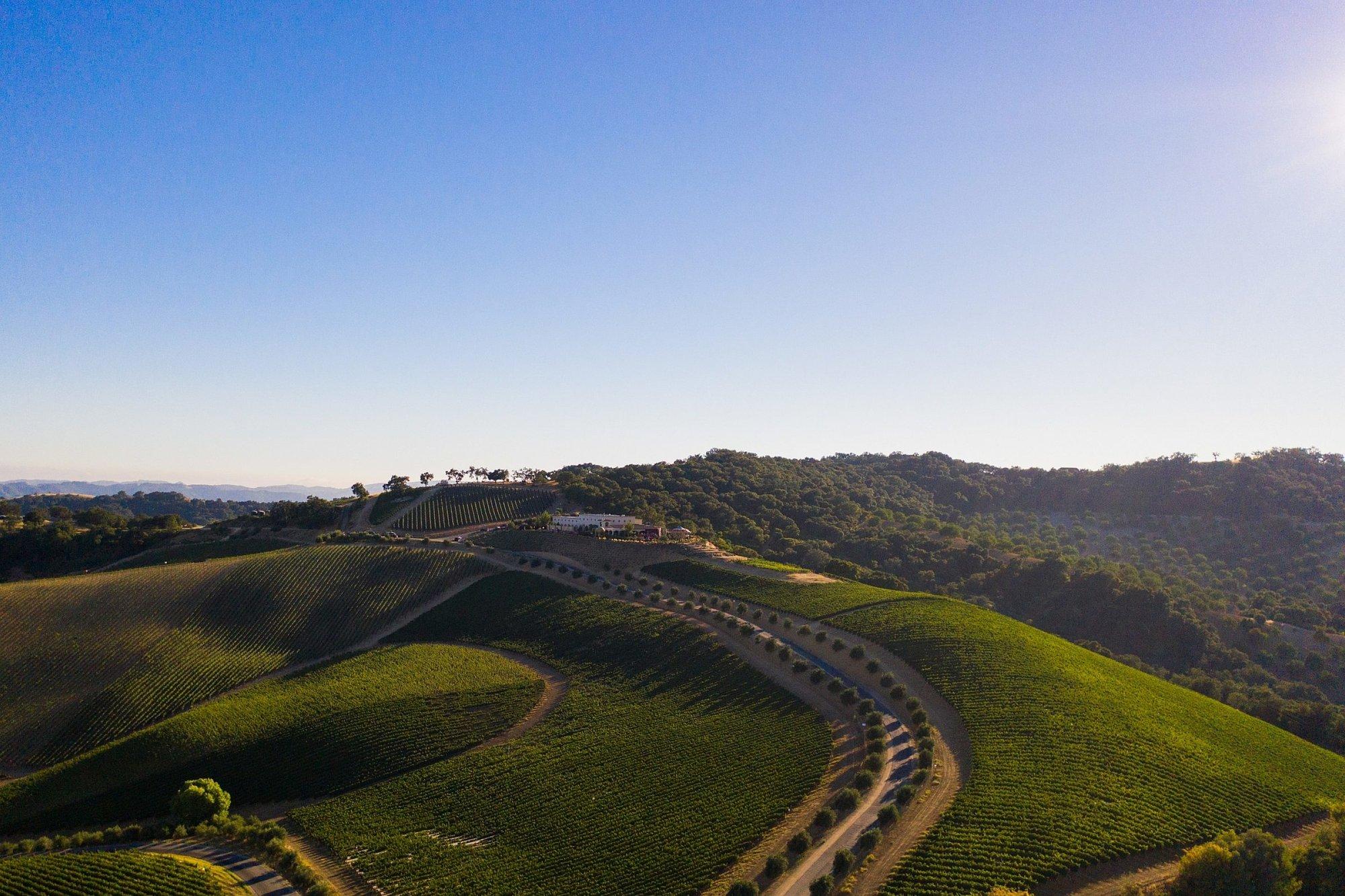 Aerial view of the vineyards and tasting room at DAOU Estate